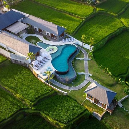 Villa Paradise By Balisuperhost 乌布 外观 照片